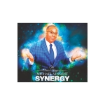 Synergy by Michael Vincent - DVD