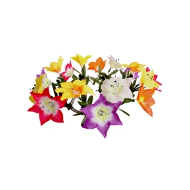 Nari Flower by JL Magic