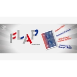 Modern Flap Card PHOENIX (Red to Blue Face Card) by Hondo