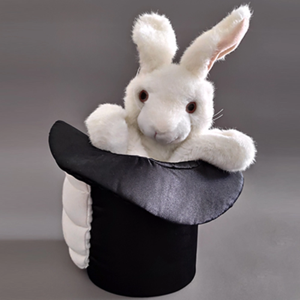 Rabbit in Hat by Tora Magic