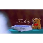 TEDDY (Red) by Zamm Wong & Magic Action