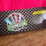 Chameleon by Marcos Cruz