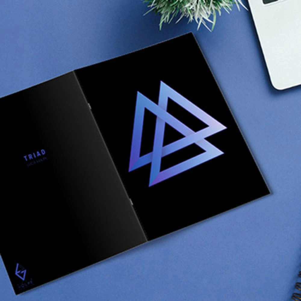 Triad by Luca Volpe - Libro