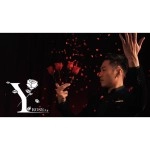 Y-Rose 2.0 by Mr. Y & Bond Lee