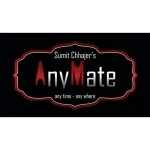 AnyMate by Sumit Chhajer video DOWNLOAD