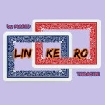 Linkero by Mario Tarasini video DOWNLOAD