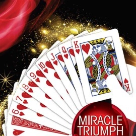 MIRACLE TRIUMPH by Syouma