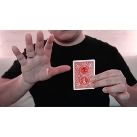 Flying Angel by Robby Constantine video DOWNLOAD