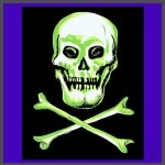 Rice Symphony Silk 90 cm (Skull and Cross Bones) by Silk King Studios