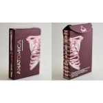 Mazzo di carte Anatomica Playing Cards