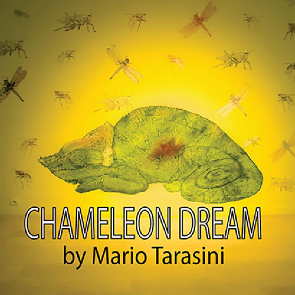 Chameleon Dream by Mario Tarasini video DOWNLOAD