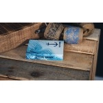 Mazzo di carte False Anchors V3S Playing Cards (Numbered Seals) by Ryan Schlutz