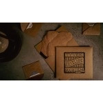 Tyvek Envelope System (10 Envelopes and Online Instructions) by Ryan Plunkett