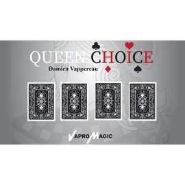 Find The Queen by Damien Vappereau