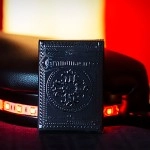 Mazzo di carte Grandmasters Black Widow Spider Edition (Foil) Playing Cards by HandLordz