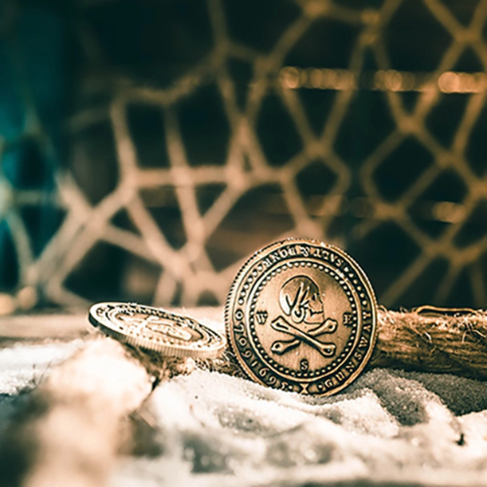 Pirate Coins (Dollar) by Ellusionist