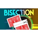 Bisection RED by Armanujjaman Abir