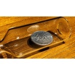 REAL COIN IN BOTTLE (HALF) by Bacon Magic
