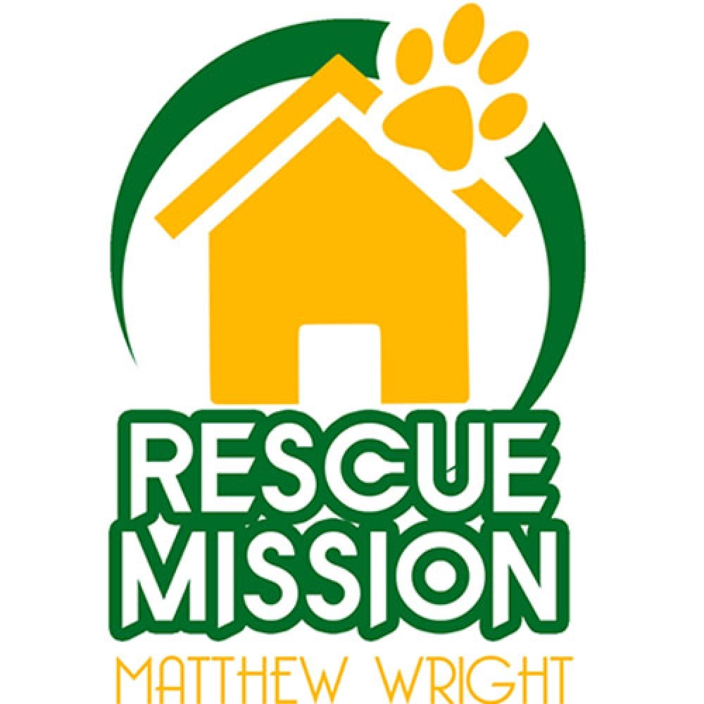 RESCUE MISSION (Gimmicks and Online Instruction) by Matthew Wright