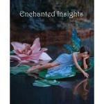 ENCHANTED INSIGHTS BLUE (Japanese Instruction) by Magic Entertainment Solutions