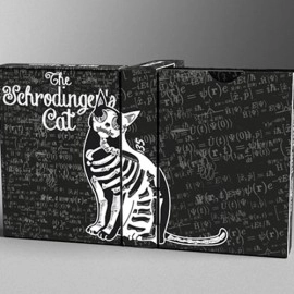 Schrodinger's Cat: Dead Black Edition Playing Cards
