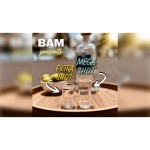 Mega Shot by Bill Abbott