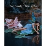 ENCHANTED INSIGHTS BLUE (Spanish Instruction) by Magic Entertainment Solutions