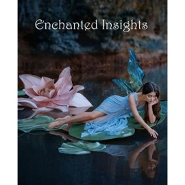 ENCHANTED INSIGHTS BLUE (German Instruction) by Magic Entertainment Solutions