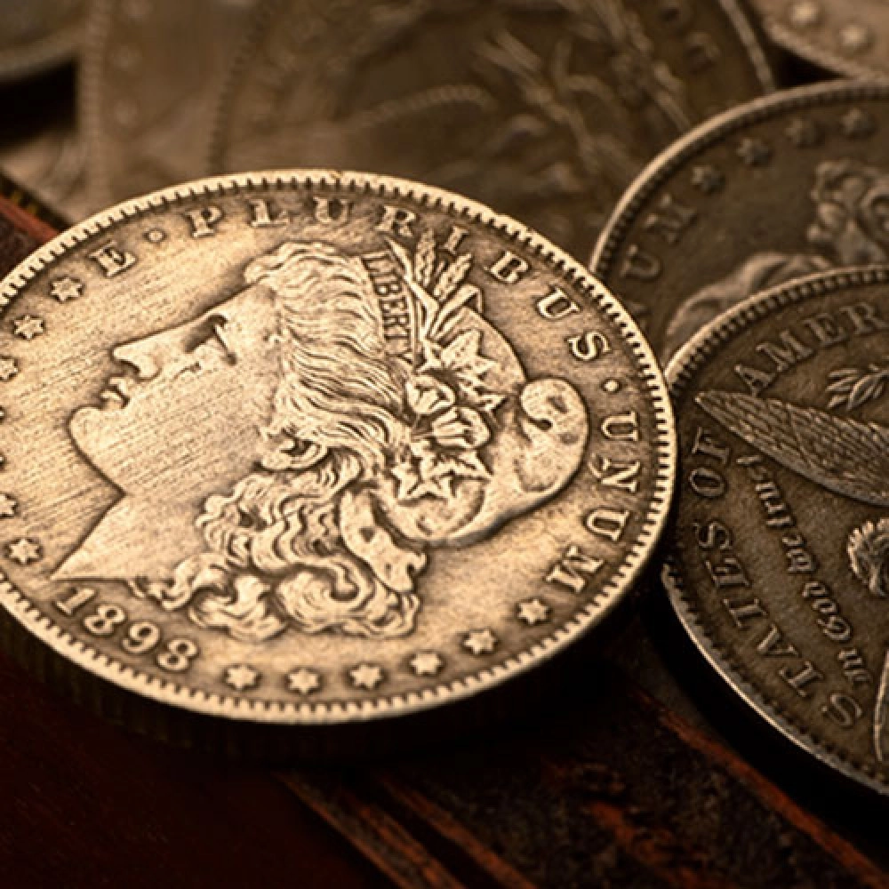 Mini Morgan (pack of 5) by N2G