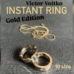 Instant Ring (silver/gold, 20mm) by Viktor Voitko