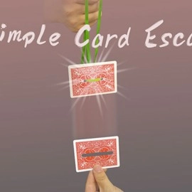 Simple Card Escape by Dingding video DOWNLOAD