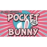 Pocket Bunny by Lee Alex