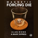Magnetic Forcing Die by Alan Wong & Magic Express (Full set with six dice)