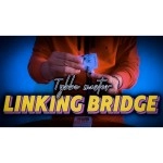 Linking Bridge by Tybbe Master video DOWNLOAD