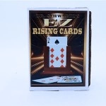 Easy Card Rise by Martin Schwartz