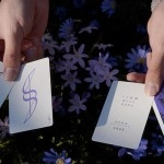 Dream of Butterflies by YD Cards