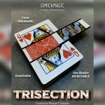 TRISECTION (Blue) Mickael Chatelain