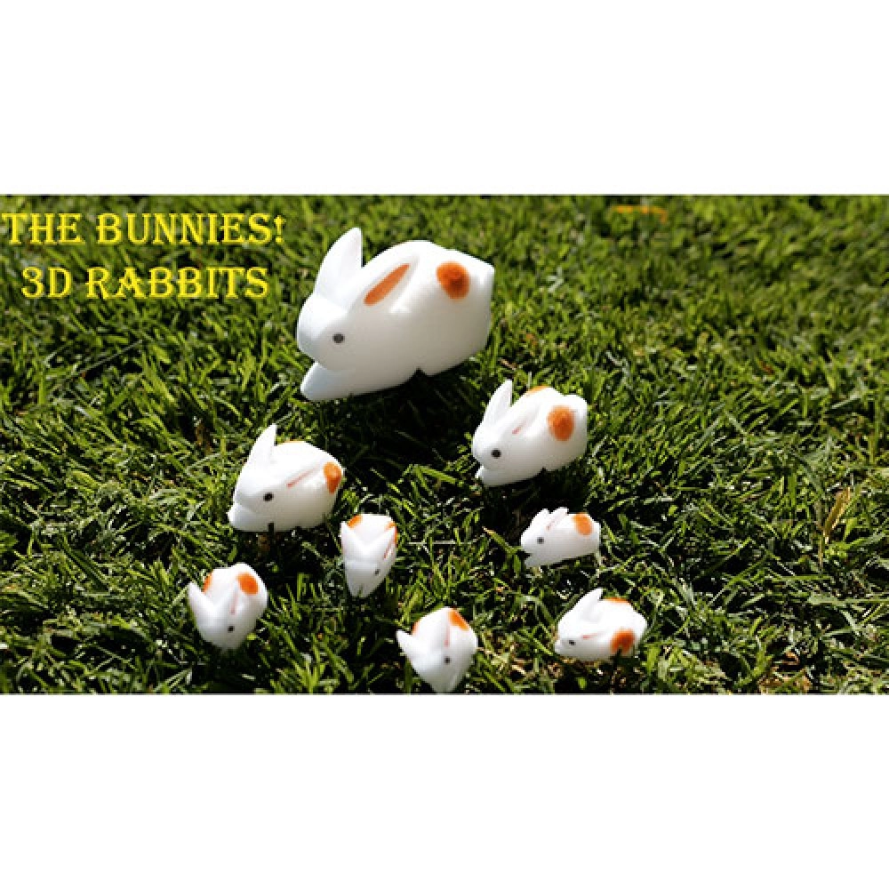 The Bunnies! 3D Rabbits (Parents, Kids & Grandpa)