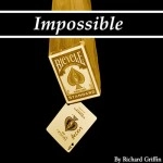 Impossible by Richard Griffin video DOWNLOAD