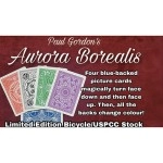 Aurora Borealis by Paul Gordon