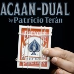 ACAAN dual by Patricio TerÃ¡n video DOWNLOAD