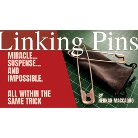 Linking Pins by Hernan Maccagno