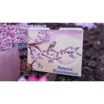 Mazzo di carte Sakura Renaissance 3D Pop-up Sunlight Edition Playing Cards