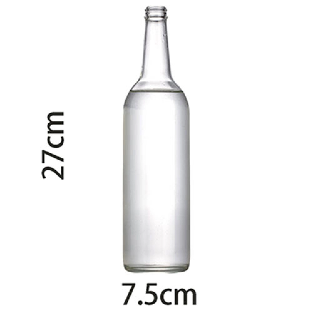 Self Exploding Transparent Beer Bottle (Large) by Wance