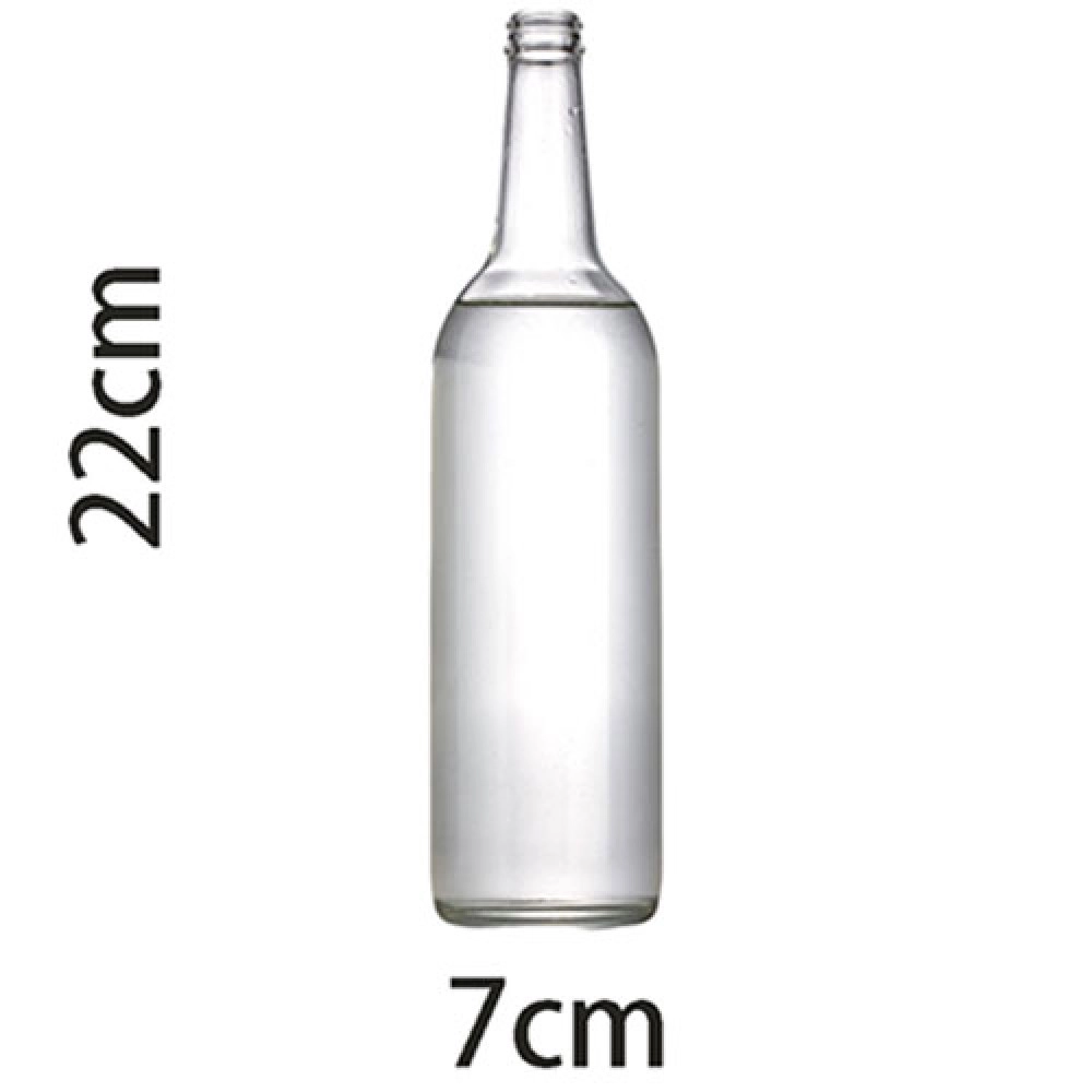 Self Exploding Transparent Beer Bottle (Small) by Wance