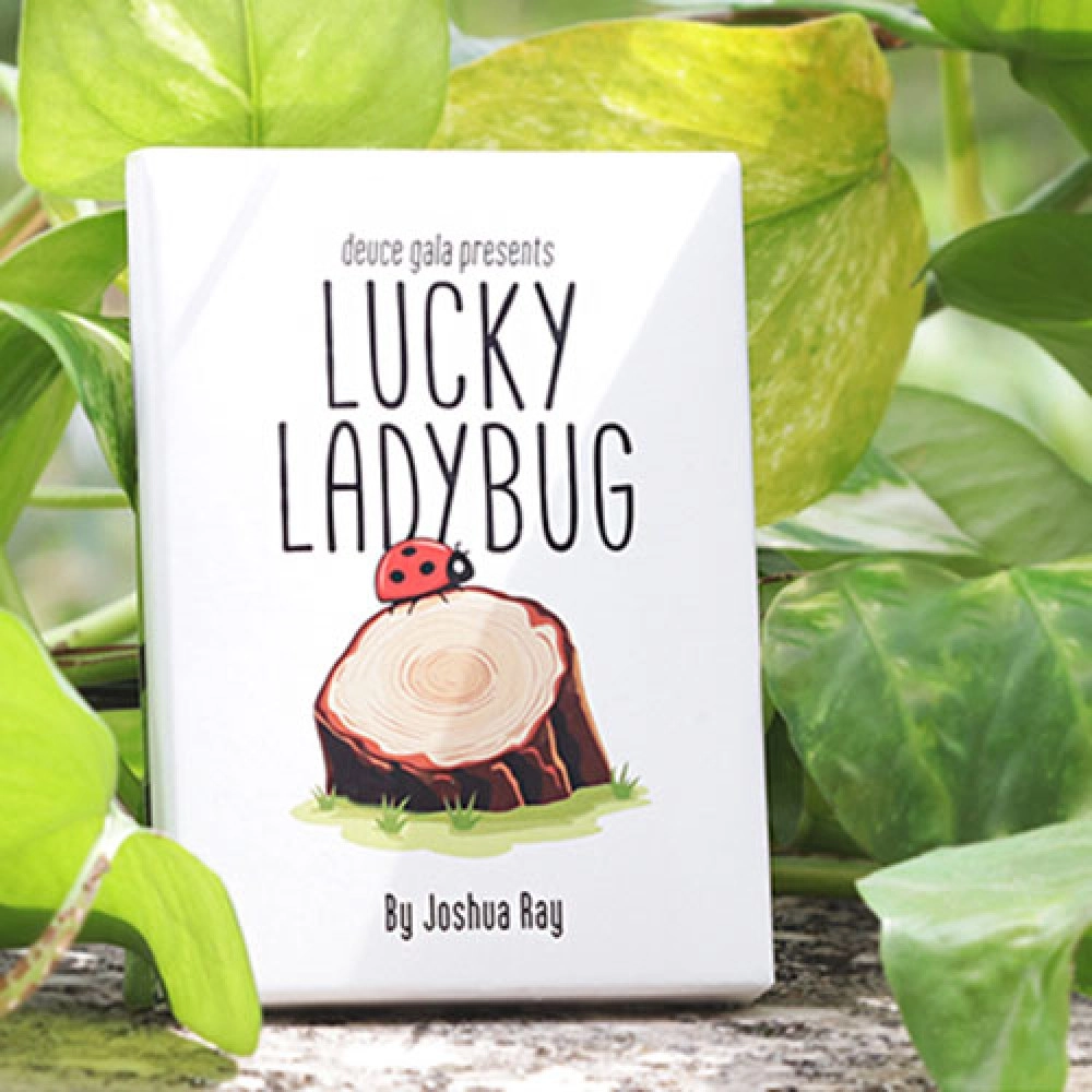 Lucky Ladybug (Leaf) by Joshua Ray & Deuce Gala Magic