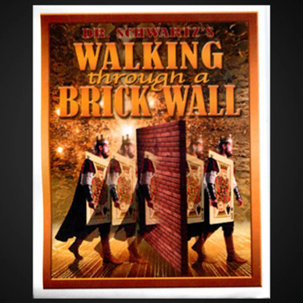 Walking Thru a Brick Wall by Martin Schwartz