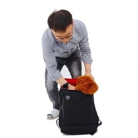 Appearing Teddy Bear - Large size