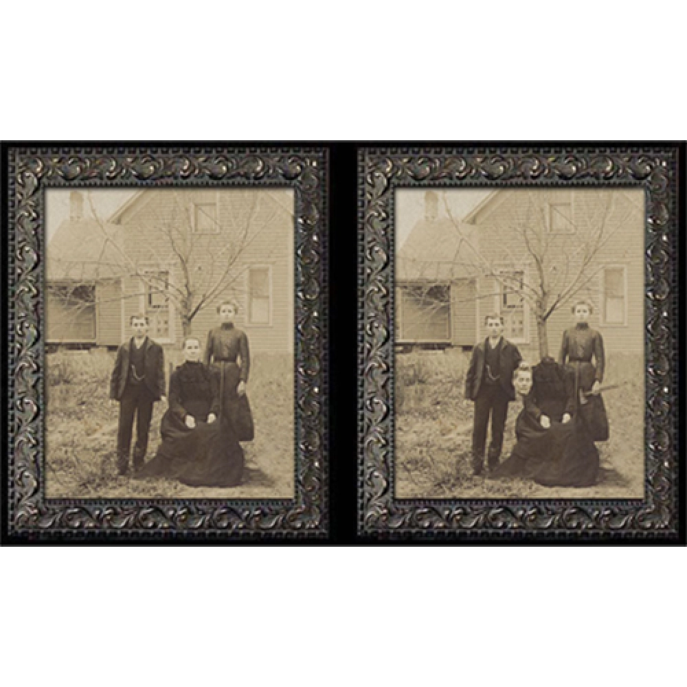 Changing Portrait - Midwestern Matricide (8x10) by Eddie Allen