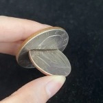 Coin through Coin - One Dollar